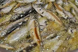  Sveža morska riba prodaja Herceg Novi (1).jpg