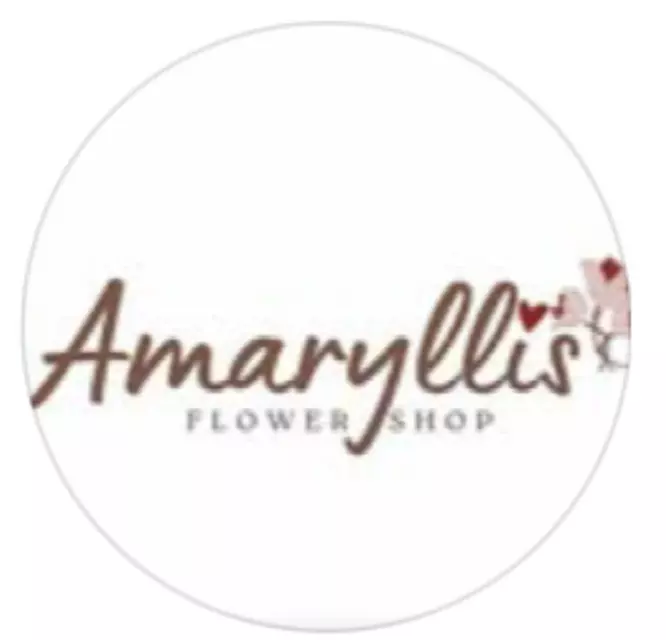 Amaryllis flowers - gifts
