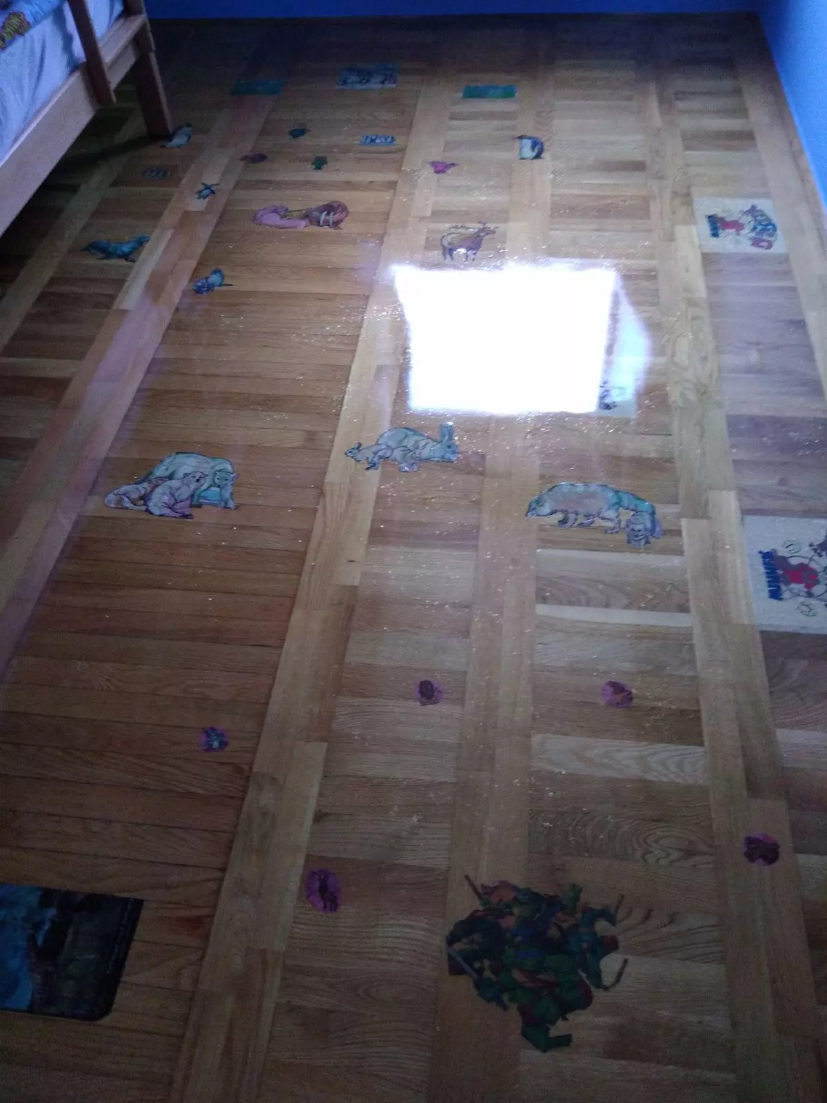 Postavljanje-svih-vrsta-parketa-i-laminata-Beograd-Srbija19