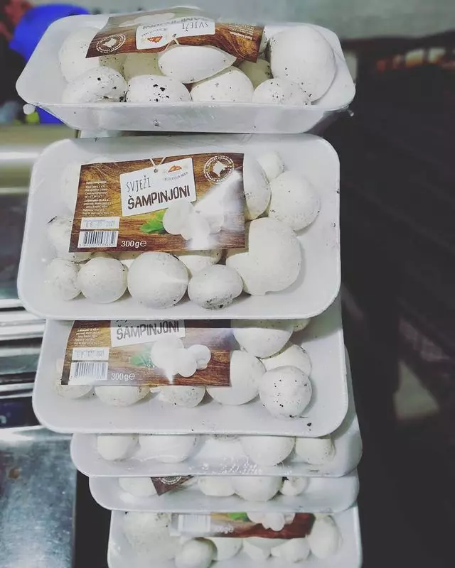 Proizvodnja-i-prodaja-šampinjona-Podgorica7