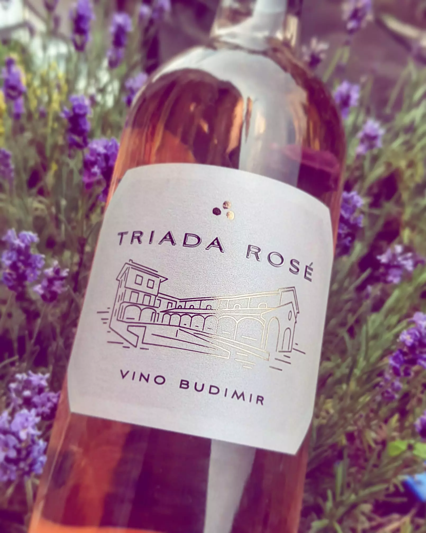 Proizvodnja-i-veleprodaja-vina-Aleksandrovac1