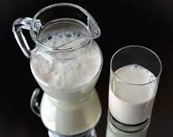 Proizvodnja-mlječnih-proizvoda-iprerada-mlijeka-Rožaje1