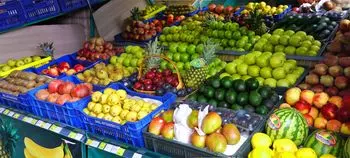 Veleprodaja-i-maloprodaja-voća-i-povrća-Herceg-Hovi7