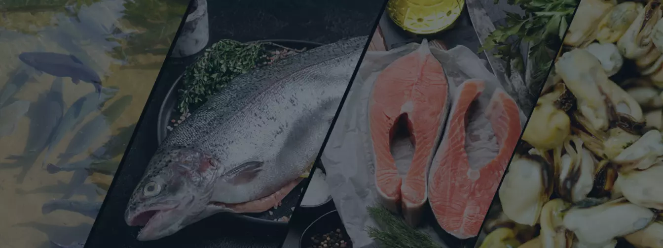 Uzgoj ribe i školjki