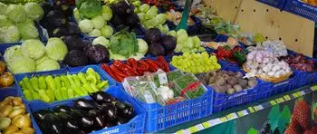 Veleprodaja i maloprodaja voća i povrća Herceg Hovi (6).jpg