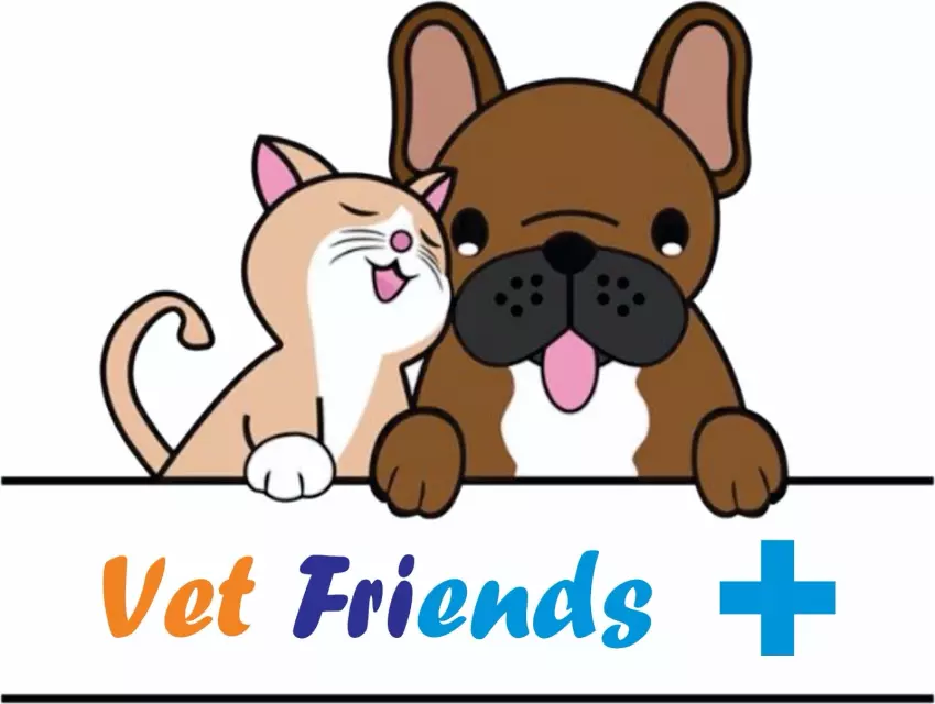 VET FRIENDS DOO