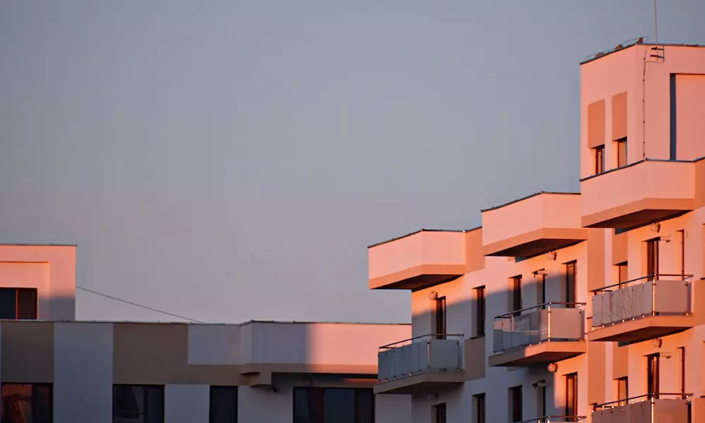 pexels dids 2032850.jpg